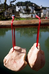 IMG_0882.jpg