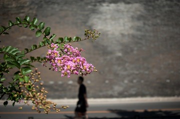 DSC_0613.jpg