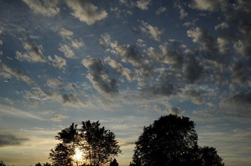 DSC_0778.jpg
