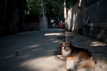 DSC_2486.jpg
