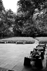 DSC_2636.jpg