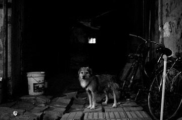 DSC_3071.jpg