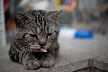 DSC_3174.jpg