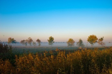 DSC_3627.jpg