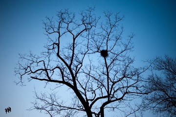 DSC_6756.jpg