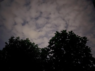 4DA28DC5-E78A-4C44-9AB3-73833CCE073F/L0/001
