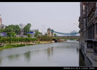 IMGP2555.jpg