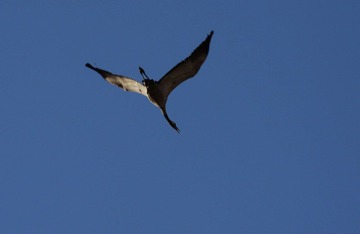 IMG_0167.jpg