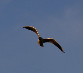 IMG_0069.jpg