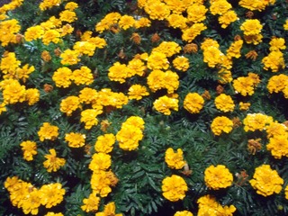 87195FCB-1B2B-4F87-B392-2257503346BC/L0/001