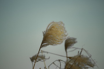 3863C685-B3E7-4C1B-9842-C9515B6106E4/L0/001