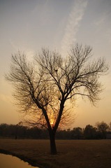 IMGP6986.JPG