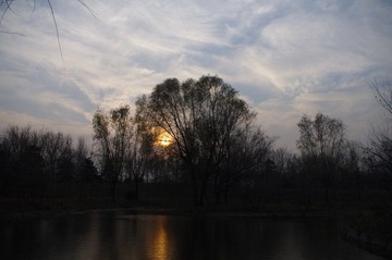IMGP6934.JPG