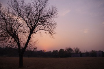 IMGP7031.JPG