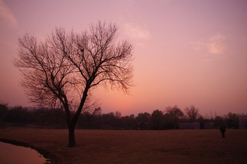 IMGP7040.JPG