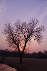 IMGP6973.JPG