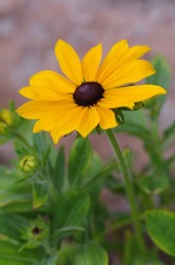 IMGP7532.JPG