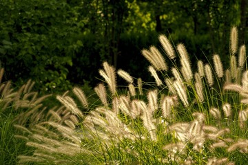 _IGP6237.jpg