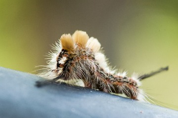 _IGP6255.jpg