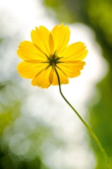 _IGP6315.jpg
