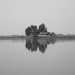 05.JPG