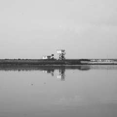06.JPG