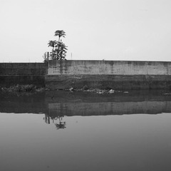 07.JPG