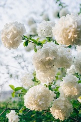 677FEA5C-BB5F-4B3C-8EA9-76BC47AB74C8/L0/001