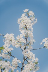 C12C0D9E-D4CA-4F7E-906F-F6265FAE5EFA/L0/001