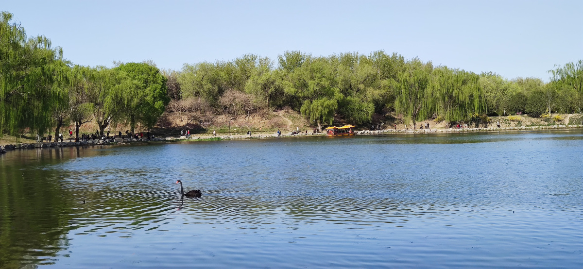 清明河上图 - falost - 图虫