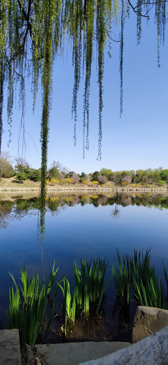 清明河上图 - falost - 图虫