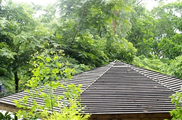 _IGP0346.jpg