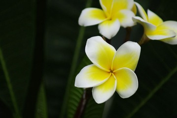 _IGP0347.jpg