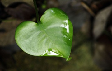 _IGP0355.jpg