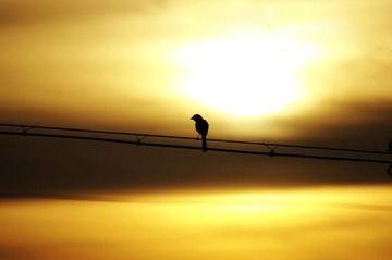 _IGP0744.JPG