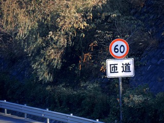 425539