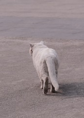 23639
