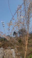4B30AE23-0001-4267-8701-2CB861227612/L0/001