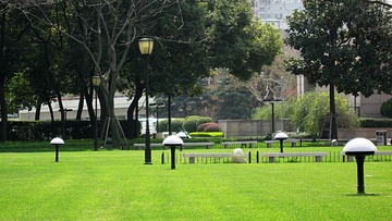 IMG_5323.jpg