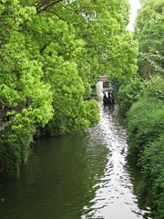 IMG_5636.jpg