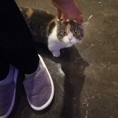 1230
