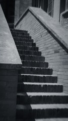 253313