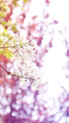DSC02930_副本.jpg