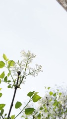 DSC02935_副本.jpg