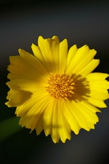 9773F127-5797-4D7E-AB13-0861977F18DA/L0/001