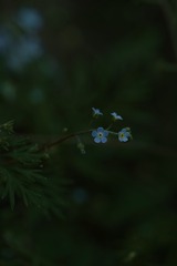 E49D041F-A72E-430F-8AC8-47CA9CC54F99/L0/001