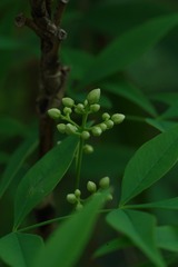 D22AB716-F5CD-439B-A87C-D566B9430B46/L0/001