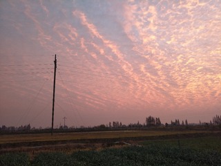 384549
