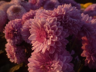 45C3A782-D838-4980-B062-CD6439D01FE6/L0/001