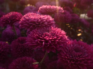 339373EB-5AA9-4D43-99B7-93FD159B583F/L0/001